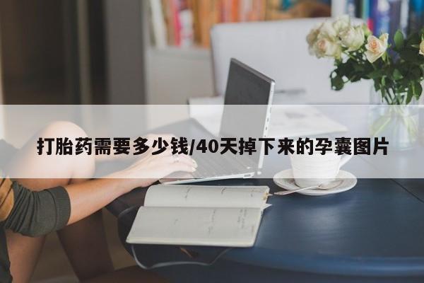 药流药购买方式打胎药需要多少钱/40天掉下来的孕囊图片